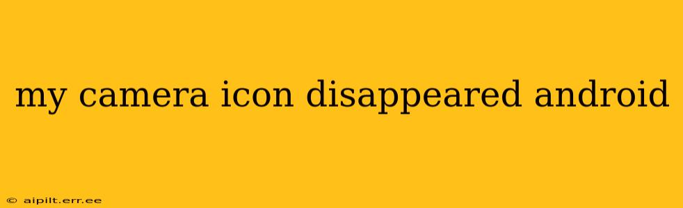 my camera icon disappeared android